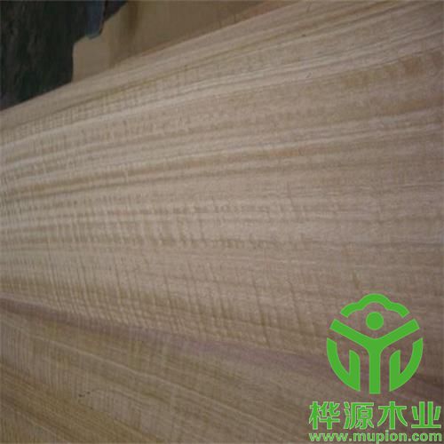 尤加利影木皮0.5mm品質(zhì)保證,排骨影尤加利裝修效果好